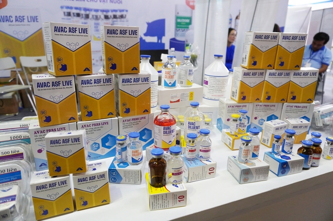 Localities need to urgently develop disease prevention plans, including plans to use vaccinations in general and ASF vaccines. Photo: Hong Tham.