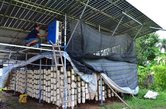 Kết hợp giữa trồng nấm và điện mặt trời áp mái. Ảnh: Nguyễn Thị Thắm.