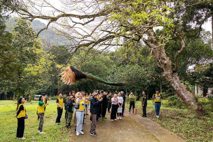 Chương trình thả động vật hoang dã của Vườn quốc gia Cúc Phương được thực hiện vào tháng 4/2023 với sự ủng hộ của Menard Việt Nam.