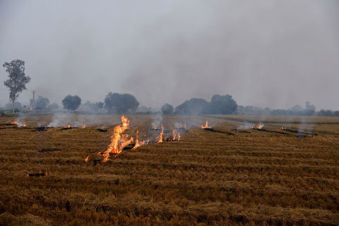 Khói bốc lên từ gốc rạ đang cháy trên cánh đồng ở huyện Karnal, bang Haryana phía bắc Ấn Độ, ngày 4/11. Ảnh: Reuters.