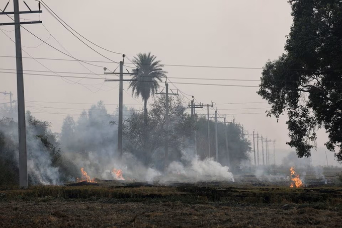Rơm rạ bị đốt gần khu vực đường điện ở huyện Karnal, bang Haryana, Ấn Độ, ngày 4/11. Ảnh: Reuters.