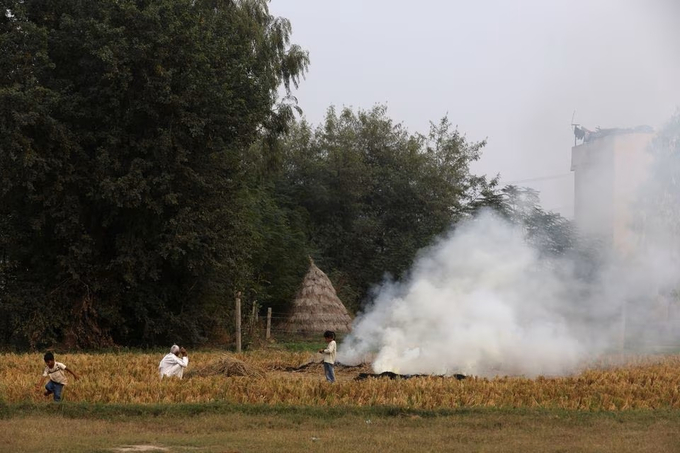 Một nông dân đốt rơm rạ ở huyện Karnal, bang Haryana, Ấn Độ, ngày 4/11. Ảnh: Reuters.