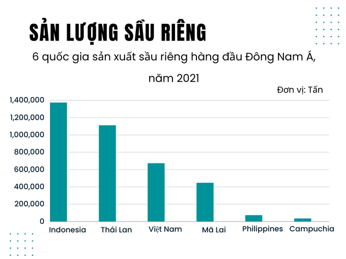 Theo số liệu thống kê năm 2021 (Manakit Somboon, 2022), Indonesia có sản lượng sầu riêng đứng đầu thế giới với trên 1,37 triệu tấn. Ảnh: Kim Anh.