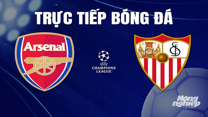 Trực tiếp bóng đá Cúp C1 Châu Âu giữa Arsenal vs Sevilla hôm nay 9/11/2023