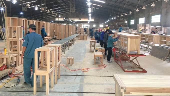 Thanks to the reception of new orders, export wood processing businesses in Binh Dinh province have increased their production capacities and recruited additional workers. Photo: V.D.T.