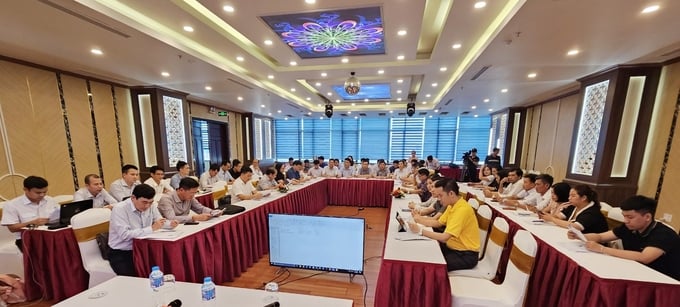 Workshop on digital transformation in the animal health sector in Quang Binh province. Photo: T. Phung.