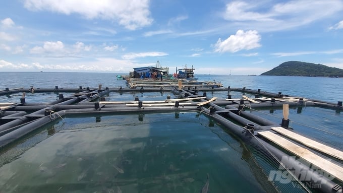 Aquaculture cages made from HDPE plastic in Dam Bay, Phu Quoc city. Photo: Kien Trung.