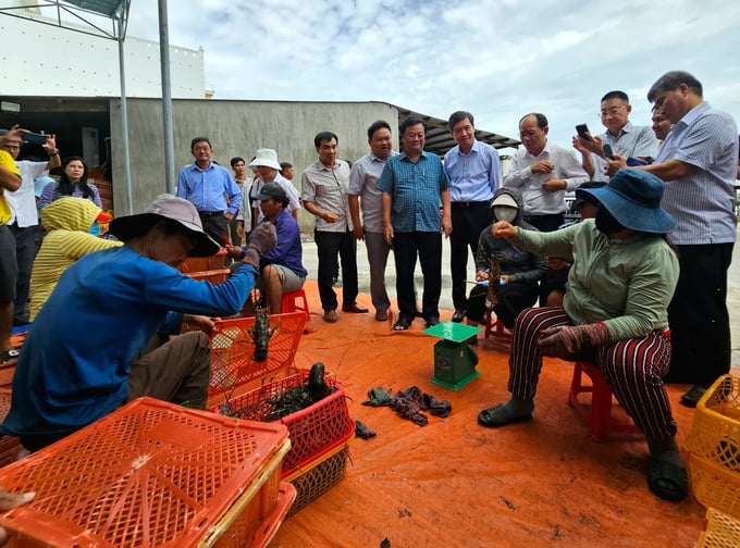 Mr. Le Minh Hoan, Minister of Agriculture and Rural Development, conducting inspection at the Song Cau Comprehensive Lobster Services Cooperative. Photo: KS.