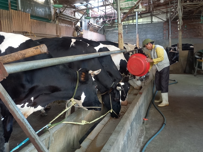 Biosafe livestock production is one of the sustainable production directions Vinh Phuc aims for. Photo: Hoang Anh.