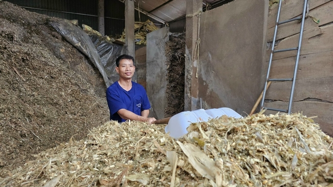 Vinh Phuc’s livestock farming industry achieves economic, technical and environmental efficiency thanks to using biological products. Photo: Hoang Anh.