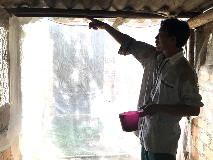Chung quanh chuồng nuôi lợn của anh Nguyễn Văn Bình được che chắn lưới lan để ngăn chặn ruồi muỗi mang virus dịch tả lợn Châu Phi xâm nhập vào chuồng nuôi. Ảnh: V.Đ.T.