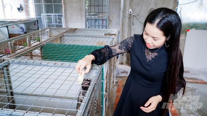 Sau gần 2 năm nuôi chồn hương, hiện trang trại của chị Nhung đã có lãi nhờ bán con giống và chồn làm thịt. Ảnh: Lê Bình.
