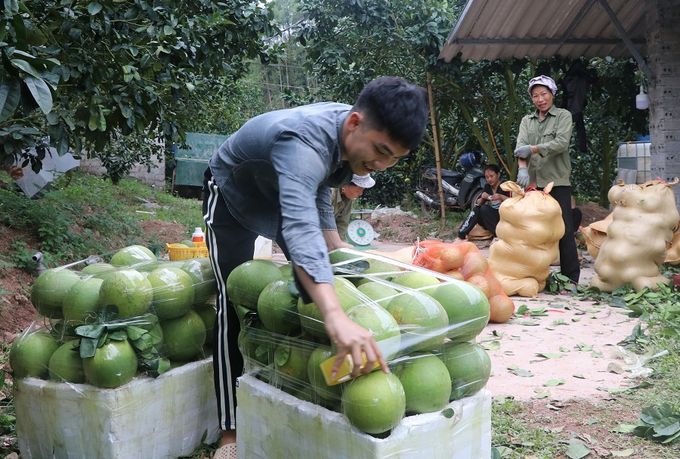 Sản xuất nông nghiệp hữu cơ được người dân tự nguyện thực hiện vì môi trường và sức khỏe con người.