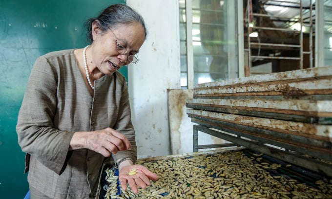 Nghệ nhân dệt lụa tơ tằm truyền thống Phan Thị Thuận, xã Phùng Xá, huyện Mỹ Đức, Hà Nội. Ảnh: TL.