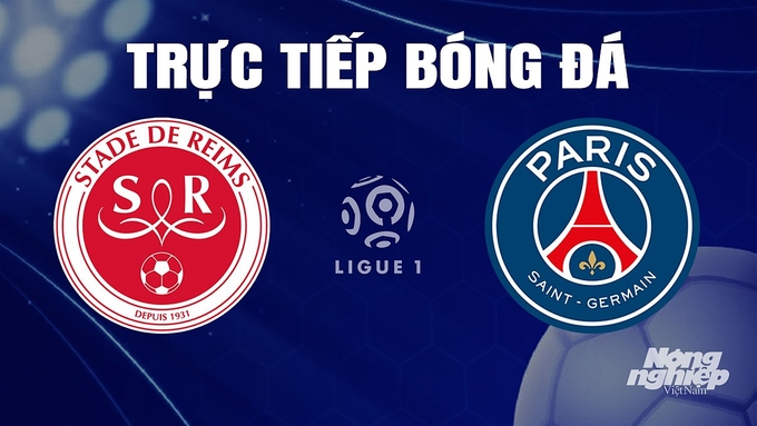 Trực tiếp bóng đá Ligue 1 (VĐQG Pháp) 2023/24 giữa Reims vs PSG hôm nay 11/11/2023