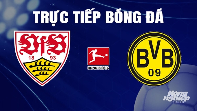 Trực tiếp bóng đá Bundesliga (VĐQG Đức) 2023/24 giữa Stuttgart vs Dortmund hôm nay 11/11/2023