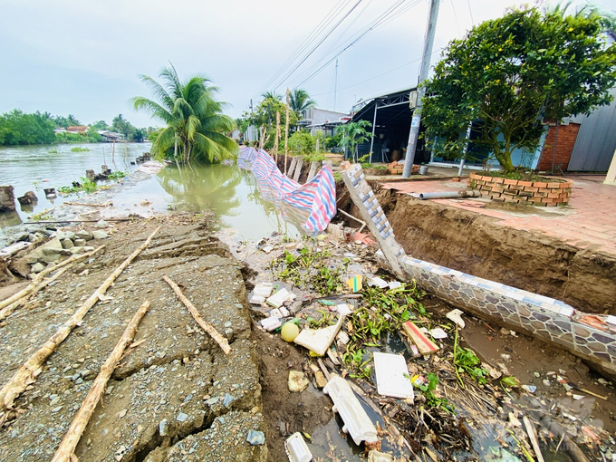 In 13 provinces and cities in the Mekong Delta, there are currently 555 riverbank landslides. Photo: Le Hoang Vu.
