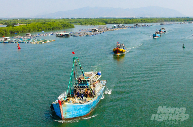 Thanks to the application of digital transformation in management and information, from the beginning of the year until now, Ba Ria - Vung Tau province has effectively prevented the situation of fishing vessels violating fishing in foreign waters, with no incidents occurring. Photo: MS.