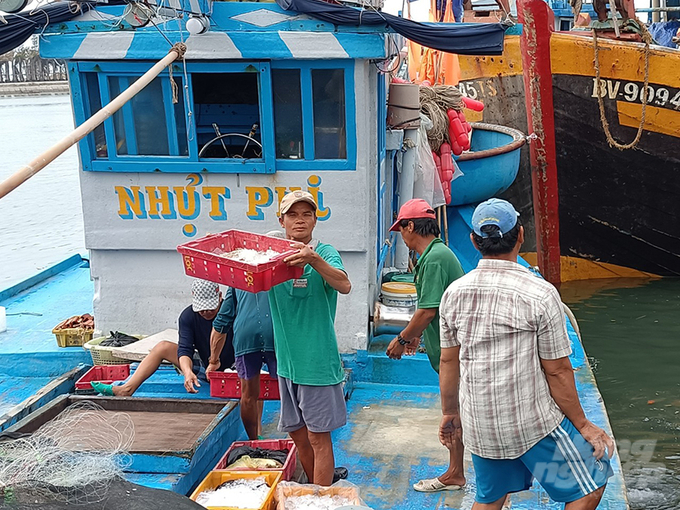 Digital transformation in the fisheries industry of Ba Ria-Vung Tau province is also applied at fishing ports and authorities in monitoring output and tracing the origin of exploited seafood, serving export work. Photo: MS.