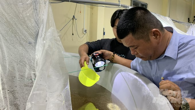 Trường Đại học Trà Vinh đang thí điểm mô hình nuôi tôm trong bể xi măng, được thực hiện hoàn toàn trong nhà kính từ giai đoạn ương nuôi ấu trùng đến khi thu hoạch. Ảnh: Hồ Thảo.