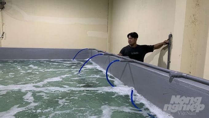 Mô hình nuôi tôm trong bể xi măng của Trường Đại học Trà Vinh sử dụng máy thổi nước phối trộn không khí theo công nghệ châu Âu thay cho cánh quạt nước thông thường. Ảnh: Hồ Thảo.