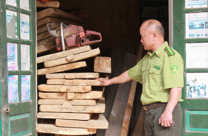 Rất cần sự thống nhất của các bộ, ngành để giải quyết số lượng gỗ có giá trị, tránh lãng phí. Ảnh: Thanh Tiến.