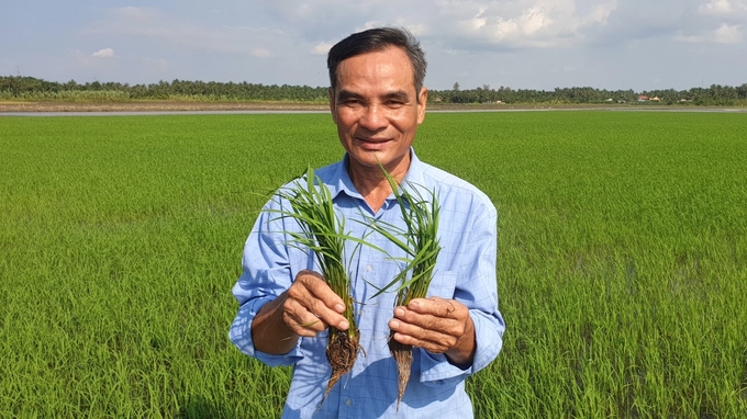 Mr. Doan Van Tai, Director of Tan Dat Agricultural Production - Services Cooperative, is a pioneer in organic rice production in Vung Liem land. Photo: Kim Anh.