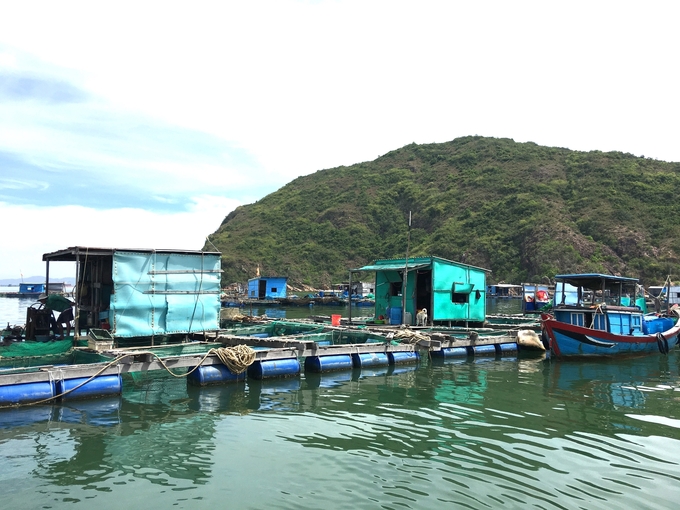 The South Central coastal provinces are organizing changes in cage materials and marine farming technology. Photo: V.D.T.