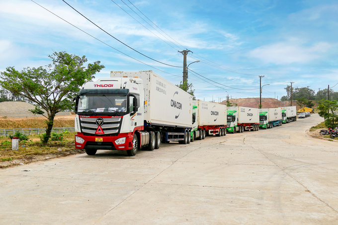 THILOGI vận chuyển nông sản từ nông trường Lào qua cửa khẩu quốc tế Nam Giang, Quảng Nam. Ảnh: THILOGI.