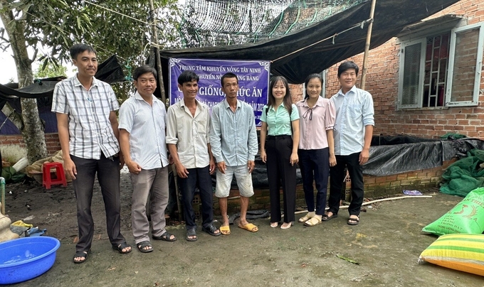 Trung tâm Khuyến nông tỉnh Tây Ninh từng bước hỗ trợ nhân rộng các mô hình nuôi cá chạch lấu, tận dụng nguồn nước sạch từ kênh thủy lợi. Ảnh: Trần Trung.