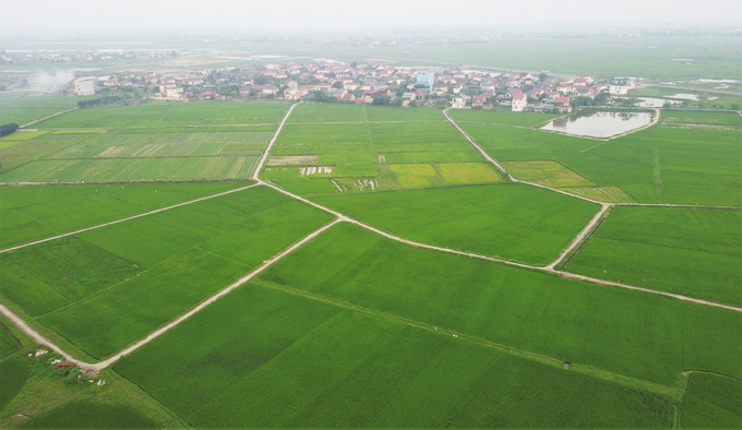 TP Hà Tĩnh đang có hơn 2.000 ha đất phù hợp phát triển nông nghiệp đô thị. Ảnh: Hưng Phúc. 