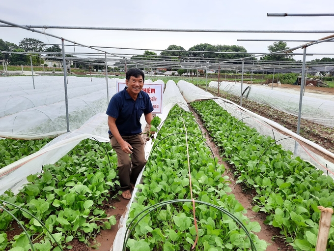Hà Nội là một trong những địa phương tiên phong áp dụng ứng dụng quản lý sức khỏe cây trồng (IPHM).