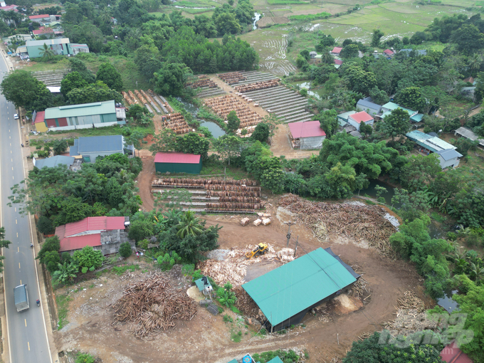 Cơ sở chế biến gỗ keo Mức Vẻ nằm ngay cạnh đường mòn Hồ Chí Minh. Ảnh: Quốc Toản.