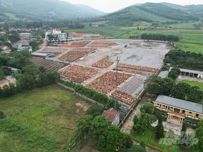 Điểm tập kết nguyên liệu gỗ keo thành phẩm của Công ty TNHH MTV thương mại Nguyễn Minh. Ảnh: Quốc Toản.
