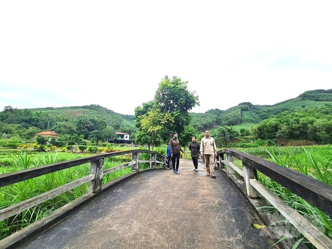 Năm 2022, xã Thái Bình là xã đầu tiên của tỉnh Tuyên Quang đạt nông thôn mới kiểu mẫu. Ảnh: Đào Thanh.