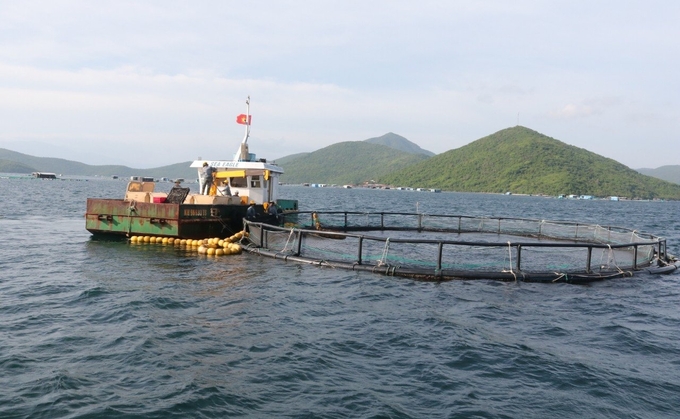 Khanh Hoa fishermen stick to the sea, trying to remove IUU 'yellow card' 