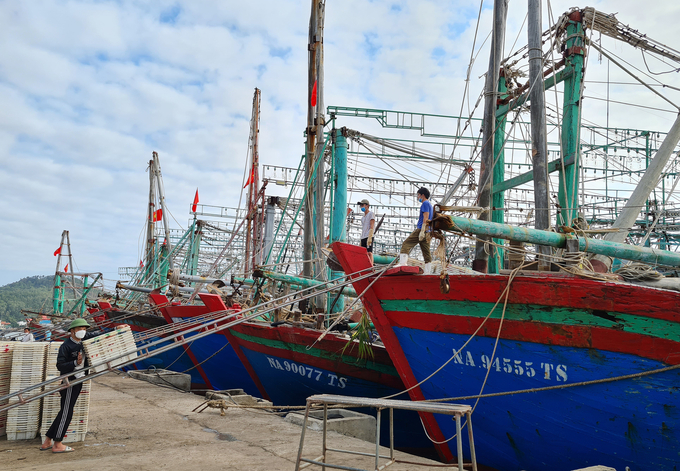 Ngành thủy sản Nghệ An có sự thay đổi toàn diện sau 6 năm thực hiện nhiệm vụ chống khai thác thủy sản bất hợp pháp (IUU). Ảnh: Việt Khánh.