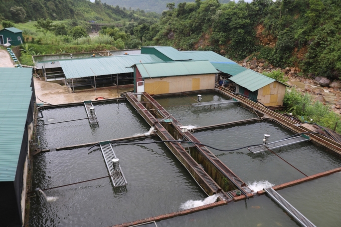 Cá ao nuôi sử dụng hệ thống bơm nước tuần hoàn và sục khí tại huyện Tam Đường (Lai Châu) của ông Trần Chung Hưng. Ảnh: H.Đ.