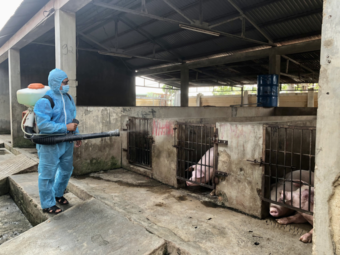 Cán bộ thú y huyện Krông Pa thực hiện tiêu độc khử trùng trên đàn vật nuôi. Ảnh: Tuấn Anh.