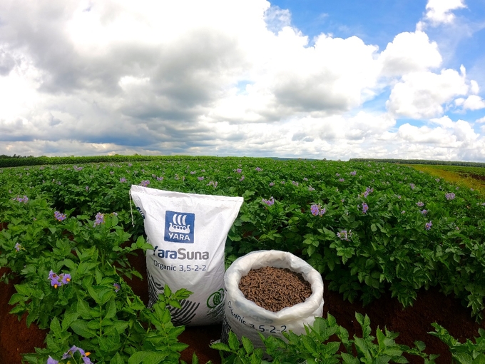 Sản phẩm phân bón hữu cơ YaraSuna là giải pháp hiệu quả và bền vững giúp cải thiện sức khỏe đất và tối ưu năng suất cây trồng.
