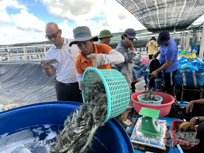 The water circulation model helps protect the natural environment and develop stable economics. Photo: Trong Linh.