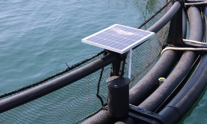 Mariculture uses HDPE cages equipped with cameras powered by solar batteries to observe the process of farming activities at sea. Photo: KS.