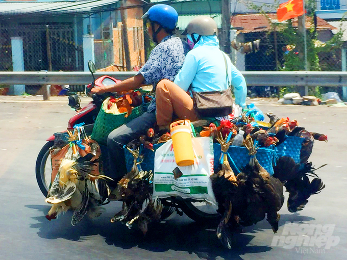 Đồng Tháp, địa phương cũng có đường biên giới giáp với Campuchia, chủ động kiểm soát dịch tại các cửa khẩu và tiến hành phun thuốc thường xuyên ở khu vực biên giới.  Ảnh: Lê Hoàng Vũ.