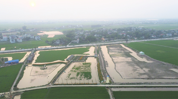 Mục tiêu của TP Hà Tĩnh là biến vùng Đồng Ghè, xã Thạch Hạ trở thành 'địa chỉ đỏ' tham quan, chia sẻ kinh nghiệm phát triển nông nghiệp đô thị. Ảnh: Hưng Phúc. 