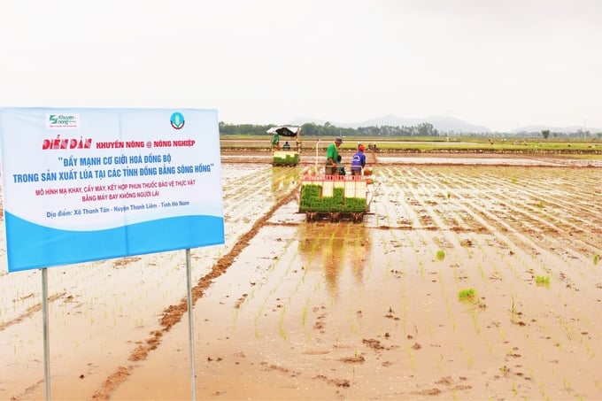 In addition to international cooperation projects, the National Agricultural Extension Center has implemented numerous successful programs in collaboration with local businesses. Accordingly, the Center has effectively utilized resources from the private sector for agricultural extension activities. Photo: Trung Quan.