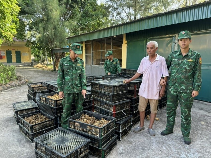 Một đối tượng đang vận chuyển gần 18.000 con gà giống từ khu vực biển Trung Quốc sang Việt Nam thì bị Bộ đội Biên phòng Trà Cổ bắt giữ ngày 1/10. Ảnh: Viết Cường.