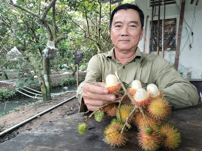 Đến nay, diện tích cây ăn trái của tỉnh Vĩnh Long đã đạt trên 70.000ha. Ảnh: Minh Đảm.