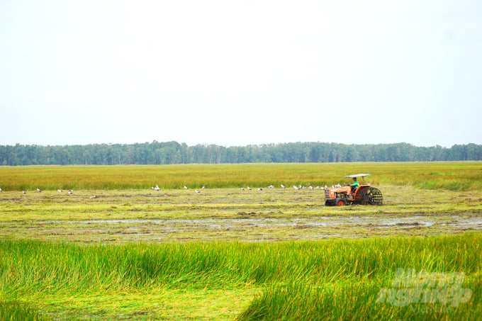 Land rehabilitation for the habitation of cranes. Photo: Le Hoang Vu.