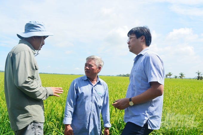 Secretary of Dong Thap Provincial Party Committee Le Quoc Phong (right), conducting a survey of the ecological rice fields in the buffer zone of Tram Chim National Park. Photo: Le Hoang Vu.