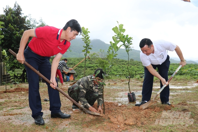 Đại diện ngân hàng Agribank khu vực Tây Nam Bộ và miền Trung cùng nông dân xã Ba, huyện Đông Giang, tỉnh Quảng Nam trồng cây giống được trao tăng. Minh Khương.